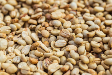 natural organic green coffee beans