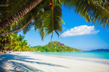 Vacation summer holidays background wallpaper - sunny tropical caribbean paradisebeach with white sand in seychelles at island thailand style with palms