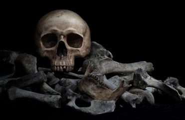 The skull on pile  of bone on black background