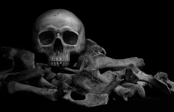 The skull on pile  of bone on black background And adjustment color black and white for background, and space for texts.