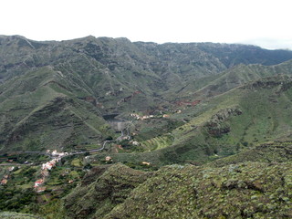 Canary Island Landscape