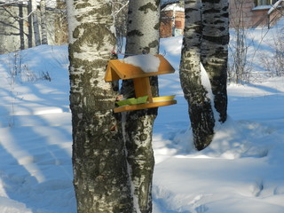 My Ural, my house