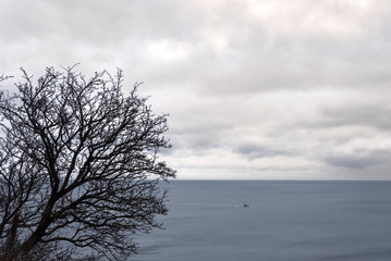 Little boat, big ocean