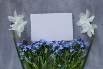 Spring season. Spring to-do list. Flower Mockup.Forget-me-nots flowers and white daffodils with white blank board on gray background. Spring mood.top view, copy space.	