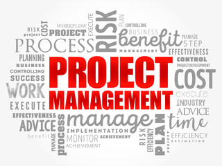Project Management word cloud collage, business concept background