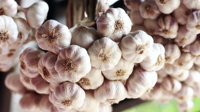 Garlic hanging in the kitchen