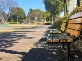 bench in the park