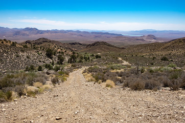 Whitney Pass Road Gold Butte National Monument