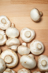Fototapeta na wymiar Mushrooms close up