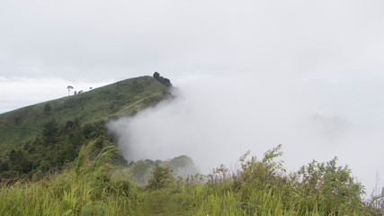 foggy in mountains landscape.Scenic View of forest covered by fog and cloud in morning