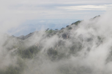 foggy in mountains landscape.Scenic View of forest covered by fog and cloud in morning