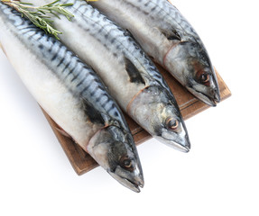 Wooden board with tasty raw mackerel fish on white background