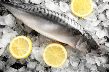 Tasty raw mackerel fish with lemon on ice