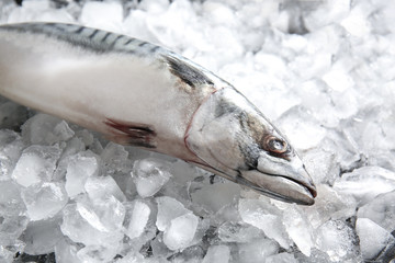 Tasty raw mackerel fish on ice