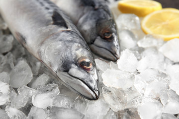 Tasty raw mackerel fish on ice