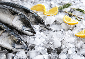 Tasty raw mackerel fish with lemon on ice
