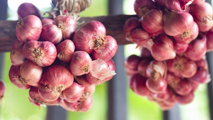 Shallots Hanging in the kitchen.