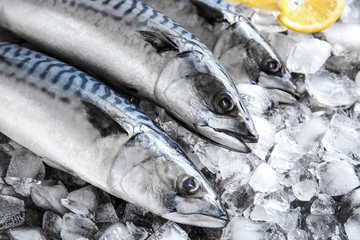 Tasty raw mackerel fish on ice