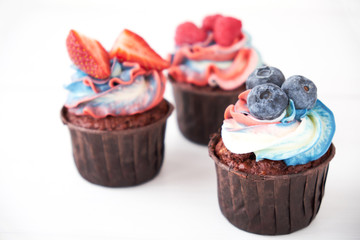 Chocolate cupcakes with multicolored whipped cream decorated with different berries on white wood table.