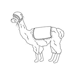Llama in hat outline illustration