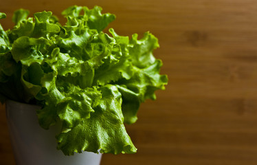 Fresh organic salad in a pot