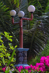 street lamps among coconut leaves
