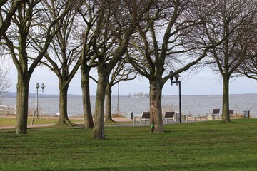 Obraz premium Waterfront in Steinhude