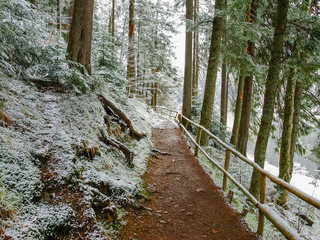 Path with railing in forest along the mountain lake shore