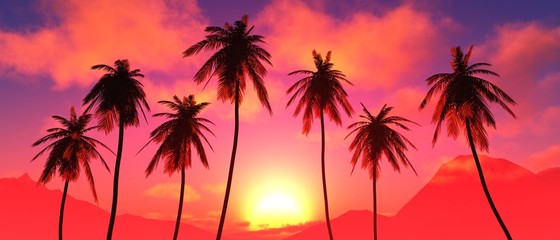 Plakat Palm trees at sunset, coconut palm trees against the sunset sky with clouds, palm trees dragging at sunrise