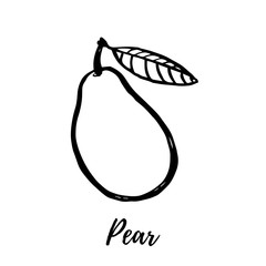 Hand drawn sketch style pear illustrations isolated on white background. Fresh food illustration.
