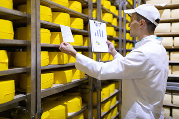 man with a graph in his hand checks the statistics in the cheese warehouse