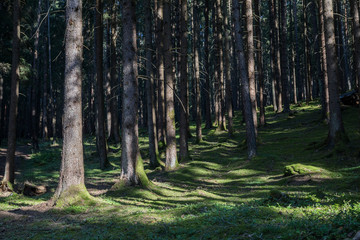Weltkulturerbe Dolomiten