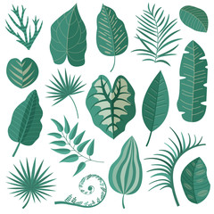 Fototapeta na wymiar Collection of green tropical leaves, palm tree branches, banana leaf and exotic rainforest leaves in cartoon style. Botanical set with summer Hawaiian paradise plant elements, jungle floral foliage.