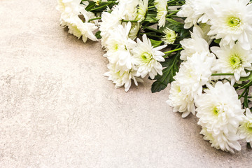 A bouquet of white chrysanthemums on a stone background. Flower Card Concept, copy space