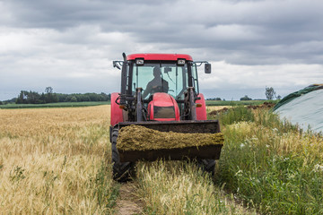 Obraz premium Tractor with front end universal loader scored feed for cows. Front view of an agricultural machine. Necessary equipment for a dairy farm.