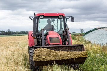 Fototapeta premium Tractor with front end universal loader scored feed for cows. Front view of an agricultural machine. Necessary equipment for a dairy farm.