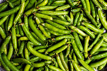 Green beans with shell background pattern