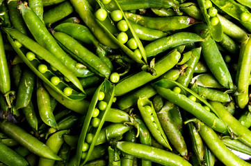 Green beans with shell background pattern