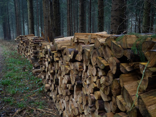 Stack of logs