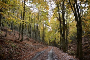 Autunno Terminillo