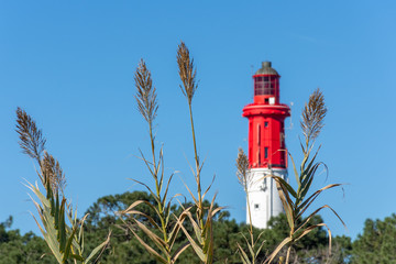 CAP FERRET (Bassin d'Arcachon, France), le phare © E. Cowez