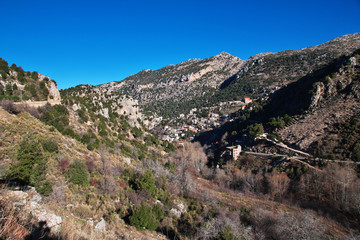 Lebanon Beqaa Valley Cedars