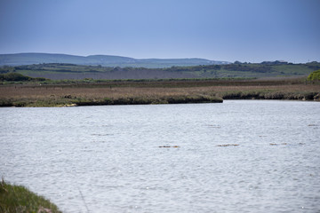 Meeresarm in Galway, Irland