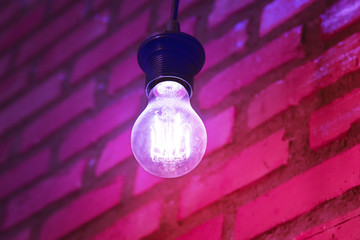Purple pink tone style with light bulb and brick wall