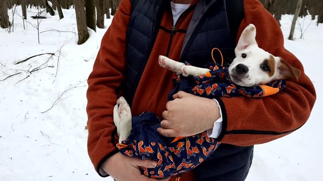 Adult man hold her puppy outdoors