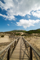 Fototapeta na wymiar Mallorca landscape at the day