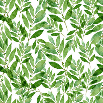 Seamless watercolor pattern of bay on white background