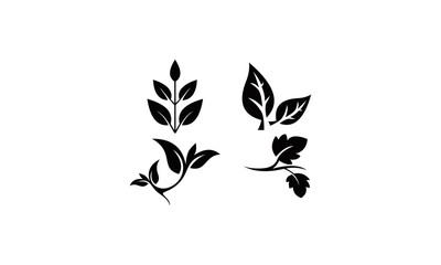 leaf branch vector