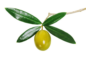 Obraz premium Olive branch with green olives. Isolated on white background