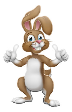 Easter bunny rabbit cartoon character giving a thumbs up